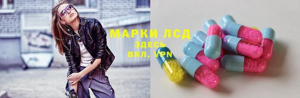 гидра Алексеевка