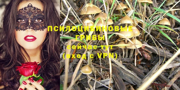 амф Абдулино