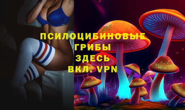 гидра Алексеевка