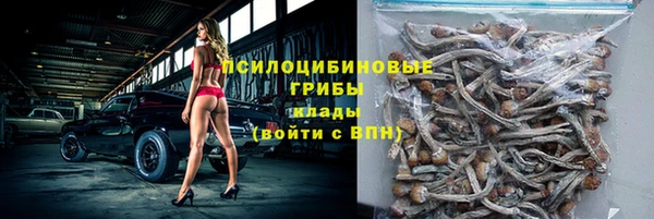 соль ск Алзамай