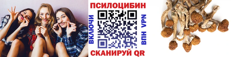 что такое наркотик  Покачи  Псилоцибиновые грибы мухоморы 