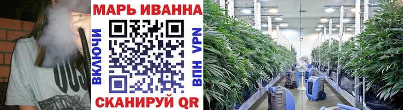 Каннабис SATIVA & INDICA  Покачи 